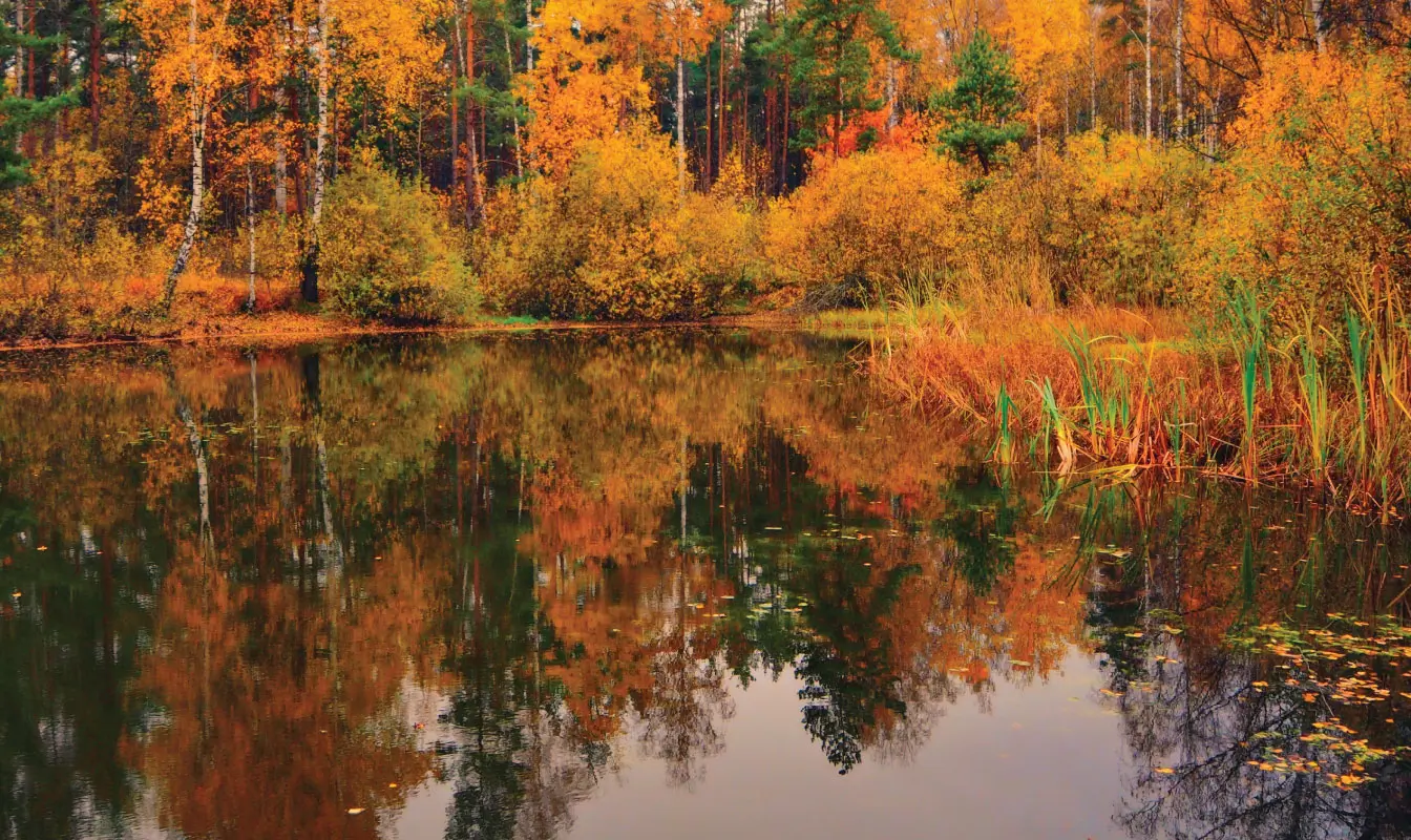 piercecedarcreek4