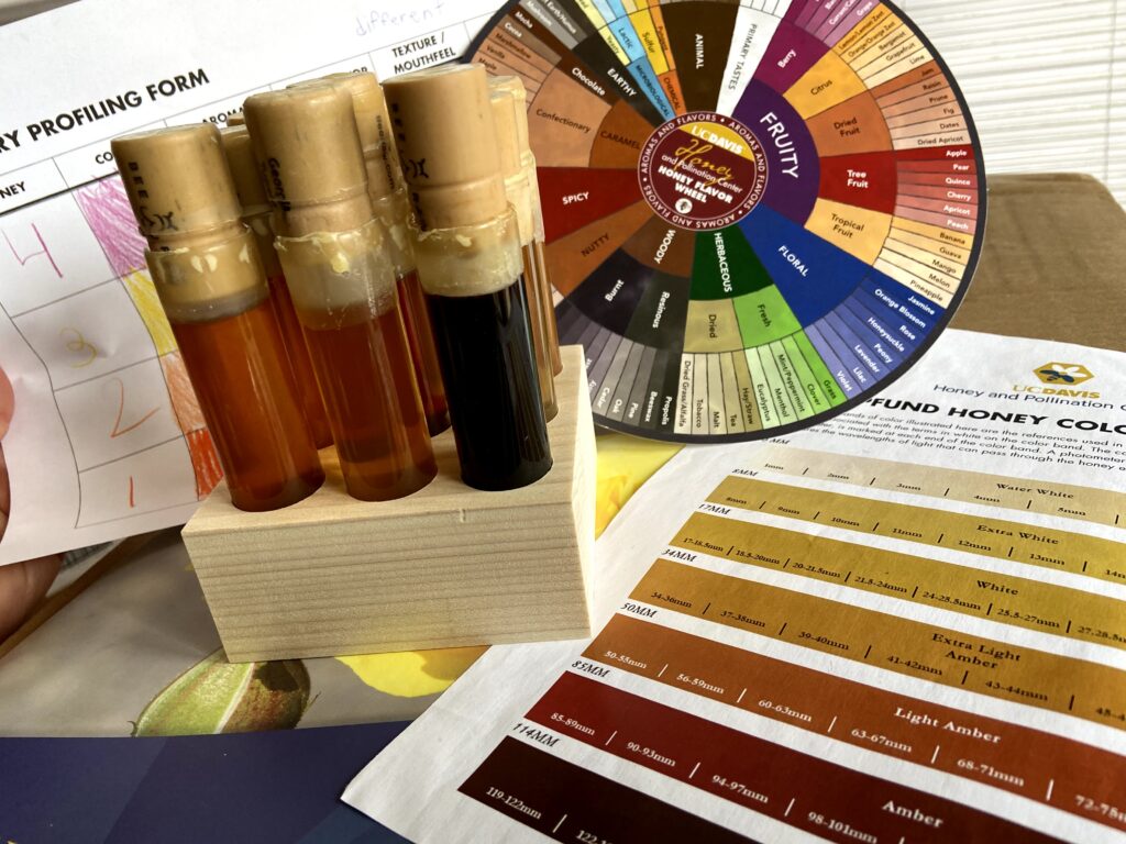 HoneySensoryAnalysis2