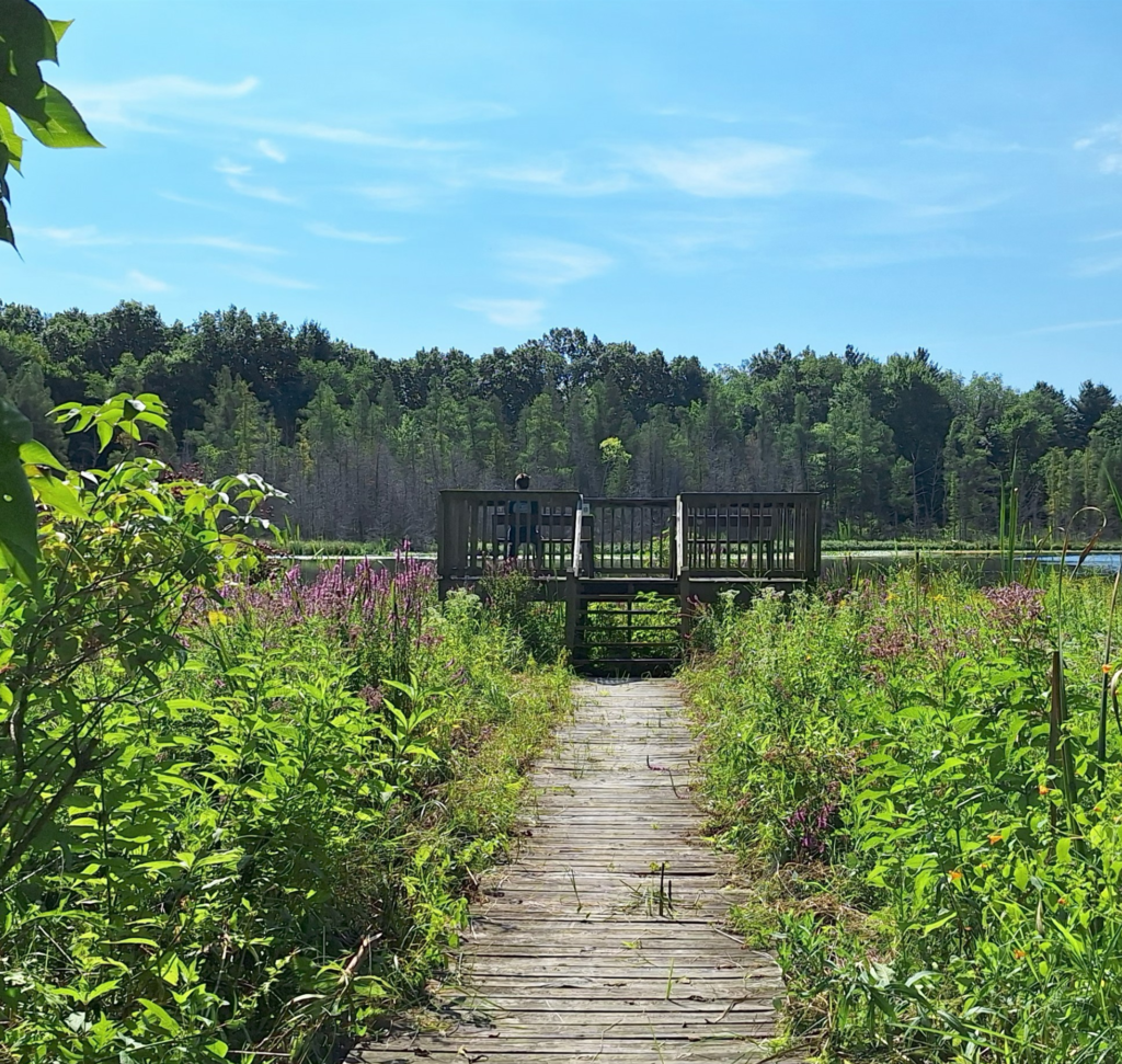 Spring 2026 Cover Picture